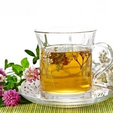 Herbal tea anti parasite - proti parazitů - výrobce - krém - cena 