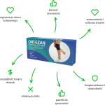 Ortezan  - magnetické pásmo - kde koupit - forum - lékárna - účinky - prodejna - složení