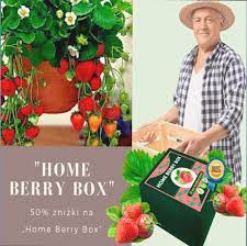 Home Berry Box - review - kako koristiti - sastav - proizvođač