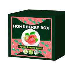 Home Berry Box - cijena - kontakt telefon - prodaja - Hrvatska