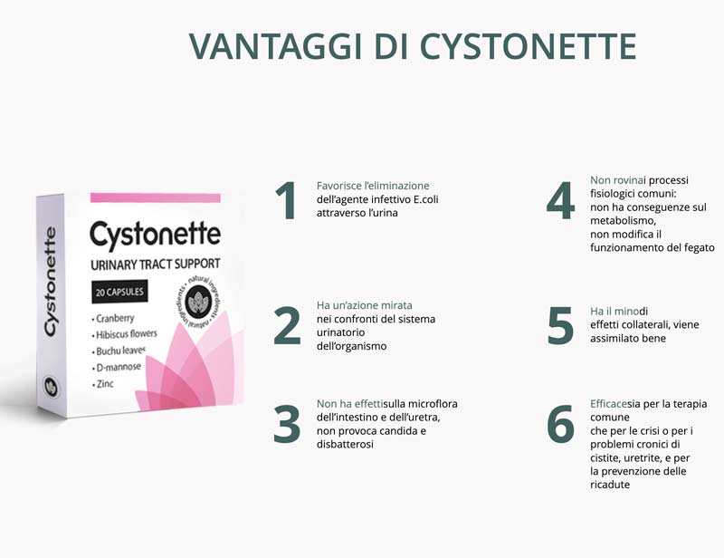 Cystonette - na Amazon - gdje kupiti - u ljekarna - u DM- web mjestu proizvođača